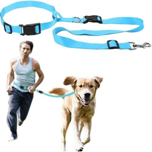 New Adjustable nylon pet led dog collar harness for small dogs,Running Jogging Sport Walking leash puppy dog product accessories