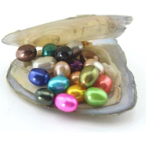 10 Pcs/lot In One Freshwater Oyster Natural Pearl Oyster Oval Bead Pearl 7-8mm Freshwater Cultured Pearl Vacuum-Packed P0047