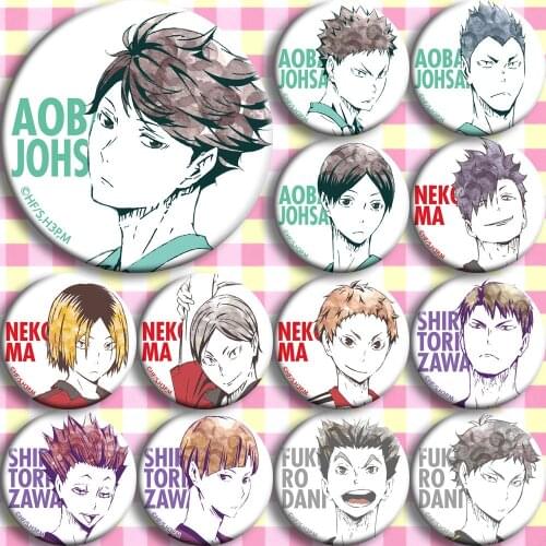 13 PCS/LOT Anime Haikyuu!! Badge Toy Shouyou Tobio Yuu Tooru Kei Tetsurou Kenma Koushi Ryuunosuke Tadashi Brooch Model Doll Pin