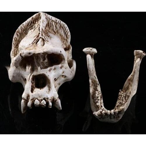 Gorilla skull model resin skull personality home decoration personality decoration family ornaments medicine