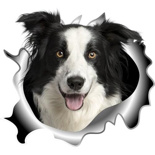 Three Ratels C518 Border Collie 3D Dogs Wall Sticker home decoration accessories for living room car sticker