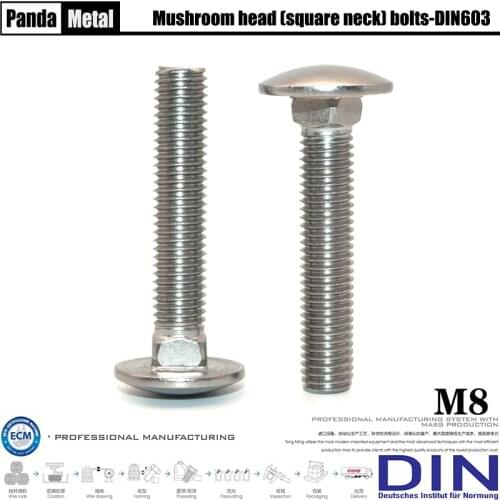 THE) 304/316 stainless steel fixing bolt DIN603 mushroom head square neck bolt, frame semicircular head screw A2A4 diameter M8