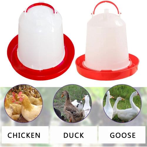 Round Bubble Thicken Baby Bird Pigeon Chicken Duck Drinker Hanging Cup Drinker Bowl Pet Poultry Drinker Household Pet Feeding