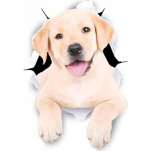 For Torn Dog Car Sticker Decoration Waterproof Decal Laptop Suitcase Truck Motorcycle Auto Accessories PVC,13cm*9cm