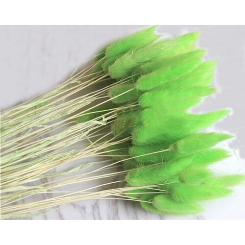50pcs dried natural flower bouquets green color Lagurus ovatus bouquets&Uraria picta&rabbit tail grass bouquets bunches