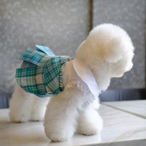 Autumn Winter Dog Dress Cat Puppy Teacup Poodle Chihuahua Yorkshire Clothes Small Dog Clothing Costume Poodle Pomeranian Skirt