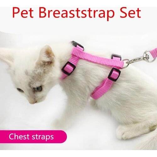 Puppy Kitten Harness And Leash For Animals Adjustable Pet Traction Harness Belt Cat Kitten Halter Collar without cardboard
