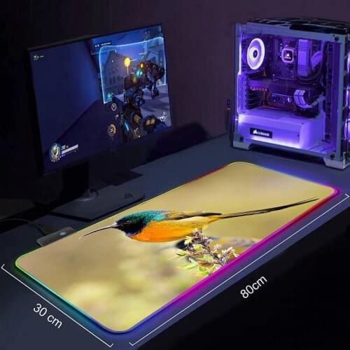 RGB Mouse Pad Animal Nuthatch Mouse pad RGB Gaming Accessories Computer Large 900x400 Mousepad Gamer Rubber Carpet DIY desk mat