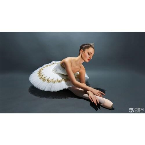 Adult Special Professional Ballet Skirt Lady Swan Lake Ballet Dancing Dress Girls Suspenders Tutu Dress Performance B-6444