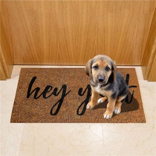 Cartoon Animal Letter Carpet Bathroom Entrance Door Mat Bathroom Interior Absorbent Mat Non-slip Kitchen Carpet Home Decoration