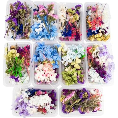 Real Mix Dried Flowers Plant For Resin Jewellery Dry Plants Pressed Flowers Making Craft DIY Photo Frame Accessories
