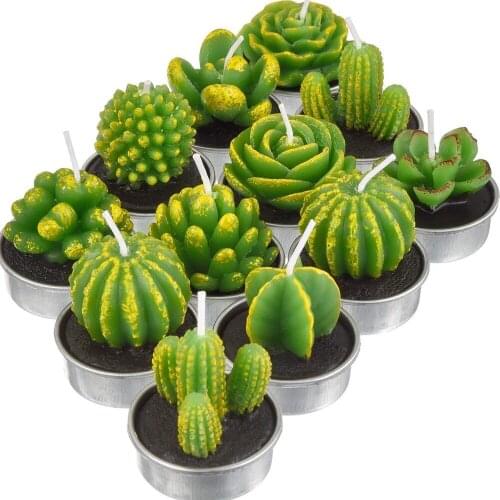 6pcs/set Decoration miniature candles garden a rare cactus plant simulation candle wedding decoration Holiday decorations B1