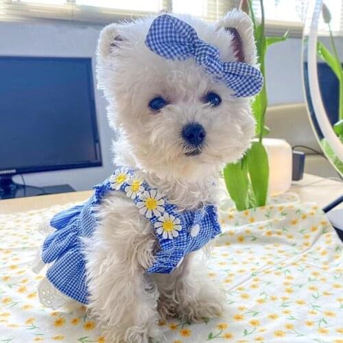Dog Cat Cute Hairpin Pet Dog Accessories Supplies Hairpin Fashion Bowknot Dog Hair Clip Headdress Pet Hair Decoration
