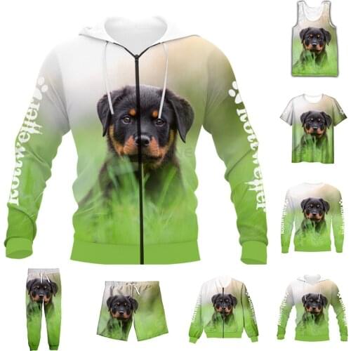 New Fashion 3D Full Print Animal Dog Rottweiler T-shirt/Sweatshirt/Zip Hoodies/Thin Jacket/Pants Four Seasons Casual Suit V37