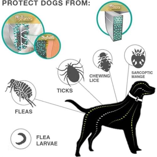 Small Dog Pest Controller Removes Flea / Tick Collar Dogs Cats Up To 8 Month Flea Tick Collar Anti-Mosquito And Insect Repellent