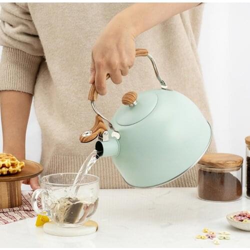 Stainless Steel Whistling Tea Kettle Matte Stovetops Enamel Food Grade Teapot with Heat-proof Handle for Gas Induction Cookers