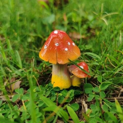 Super Mini Orange Mushroom Cultivation Potted Microlandscape Garden Decorative Flowerpot Ornaments Lovely