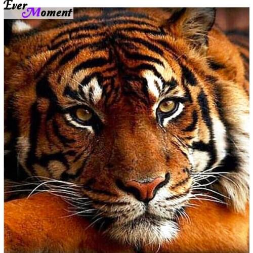 5D diamond embroidery full drill diamond cross stitch crystal square diamond sets decorative diy diamond painting ASF441