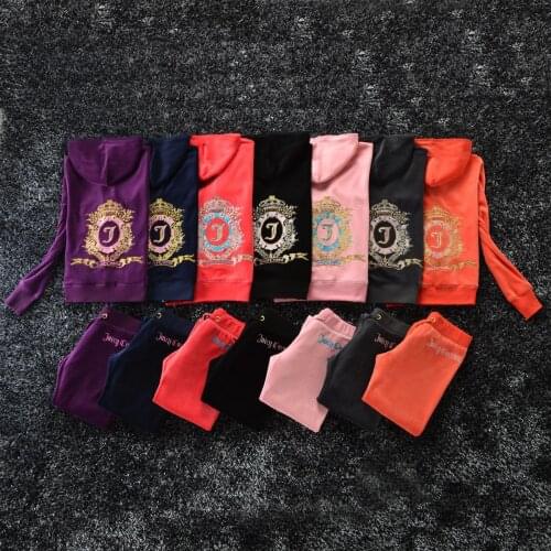 Spring/Fall 2021 Womens Velvet Fabric Tracksuits Velour Suit Women Track Suit Hoodies And Pants fat sister sportswear