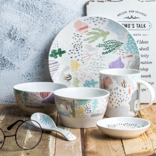 Breakfast Bowl Cereal Bowl Creative Commercial Ceramic Household Japanese Nordic Oatmeal Bowl Girls Porridge Bowl and Dish Sing