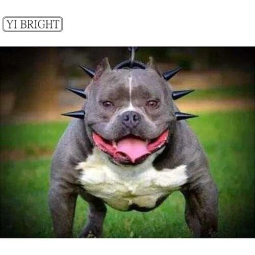 Full Square Drill 5D DIY Diamond Painting American Bully Pitbull Cross Stitch Crystal Round Diamond LK1