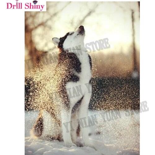 New 5D Diy Diamond Painting Diamond Embroidery Husky Snow 3D Diamond Mosaic Pictures Of Rhinestones Crafts Animal Needlework