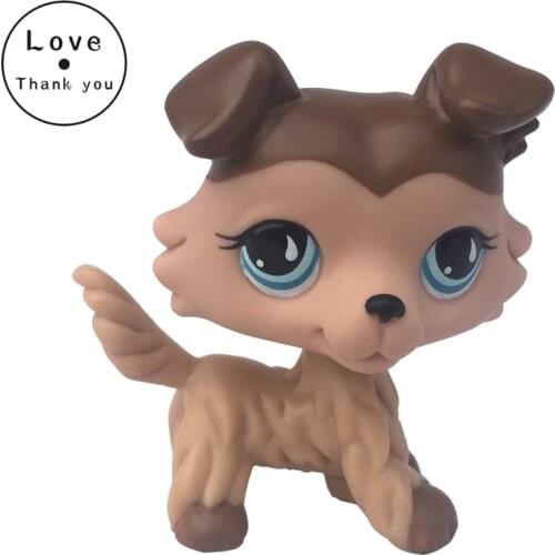 Lps cat pet shop toys Collie Dog #893 Chocolate Cream Blue Tears Eyes Collie Dog Puppy Figure Toys