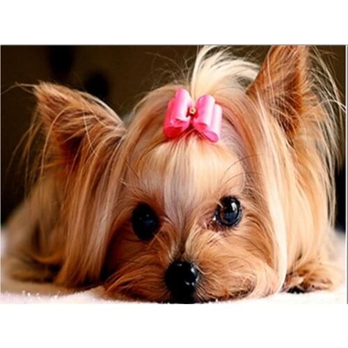 Dog DIY diamond painting cute dog animal dimaond embroidery full drill puppy diamond painting mosaic full round drill cat head