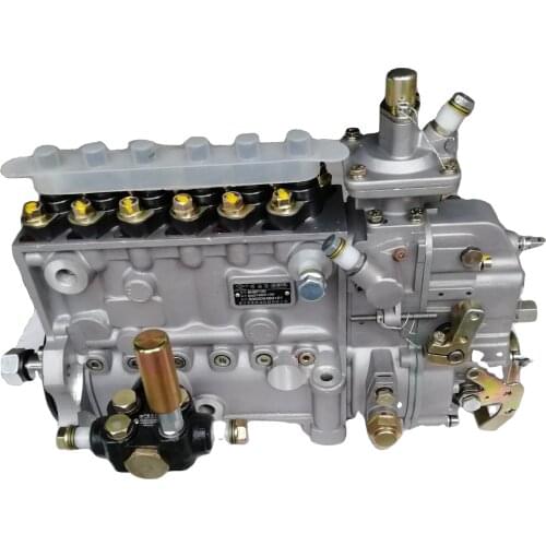 Original Fuel injection pump S 00000460+01 use for Shanghai engine sale
