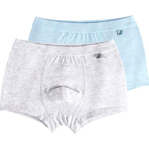 2pcs Full Cotton Boys Underwear Boxers Boy Underpants Bottoms Boys Clothes for 3 4 6 8 10 12 14 Years Old RKU173011