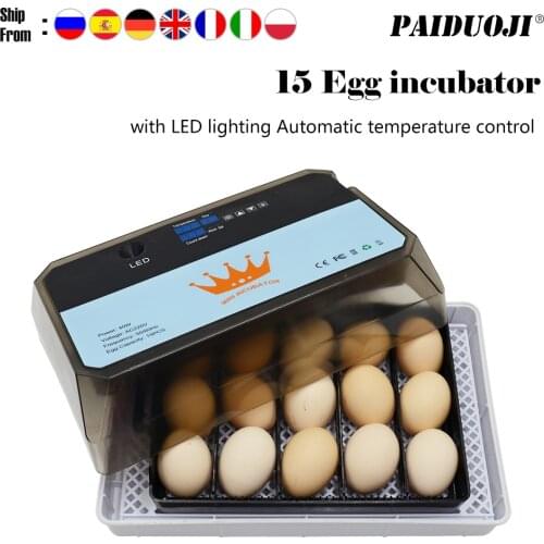 Automatic Chicken Incubators For Mini Automatic 15Chicken Egg Incubators Price For Sale