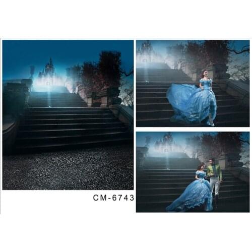 TR 8X8FT Vinyl Photography Backdrops Fairy Tale Photo Background For Photo Studio Gorgeously Stair For Wedding Lover Backdrops