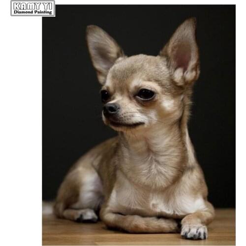 Full square round diamond embroidery chihuahua,5d diamond painting,dog cute pet diamond mosaic picture of rhinestones home decor