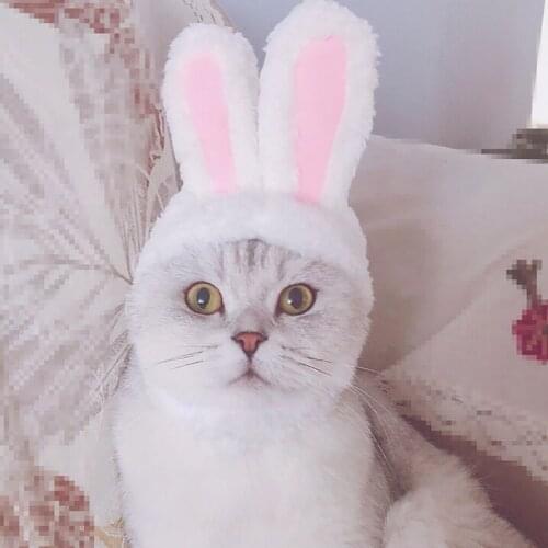 Pet Hat Cat Clothes Bunny Rabbit Ears Hat Pet Cat Cosplay Clothes For Cat Costumes Dogs Kitten Party Costume accesorios cat hat