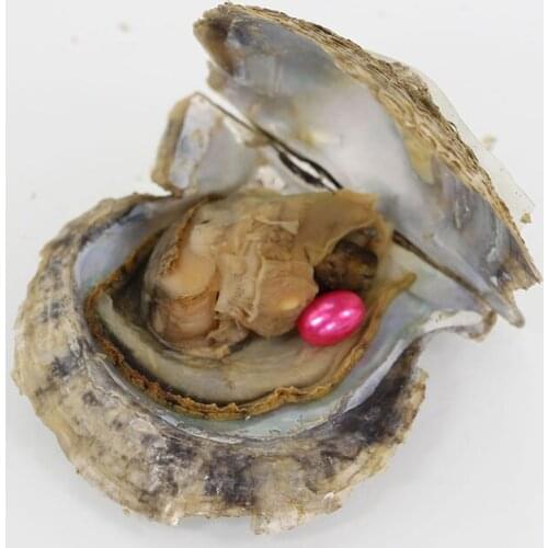 Single Rice Pearls AAAA Pearls in the Akoya Oysters 18 Colors Dyed Pearl Oysters Vacuum-packed Gift Love Wish Pearls FP217
