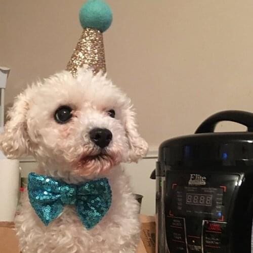 Caps For Dogs Pet Cat Dog Birthday Bowknot Costume Headwear Caps Hat Birthday Party Costume Headwear Pet Accessory