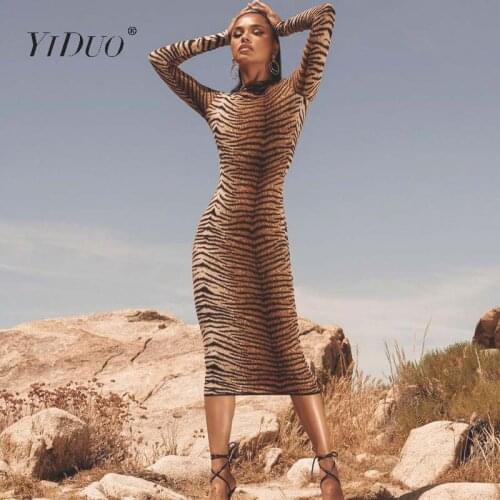 YiDuo Leopard Long Sleeve Slim Bodycon Maxi Long Dress 2019 Autumn Winter Women Party Club Wear Animal Tiger Print Sexy Dresses