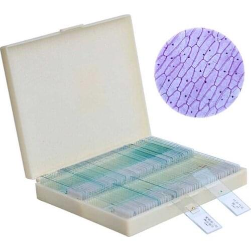 100PCS Professional Glass Slice Prepared Microscope Slides Educational Specimen Human Tissue Sections with Plastic Box