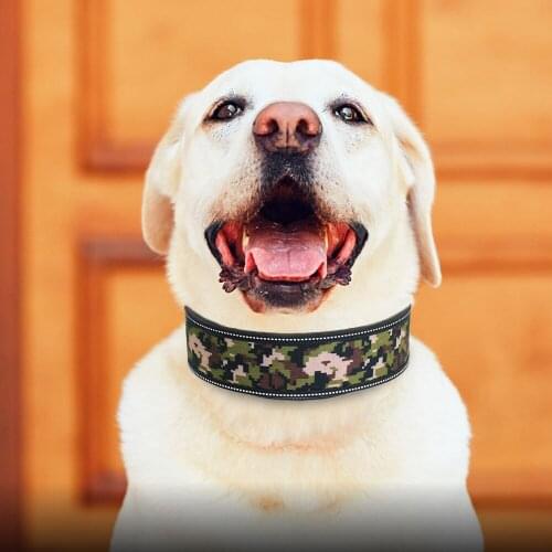 Reflective Printing Pet Dog Collar Personalized Pet Dog Label Collar Adjustable Large Medium Sized Dog Diving Waterproof Collar