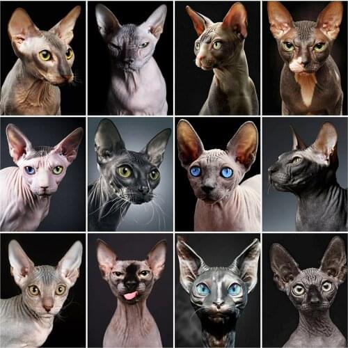 New Arrival Diamond Painting Sphinx Cat 5D DIY Diamond Embroidery Sale Full Square Round Mosaic Animals Handmade Gifts