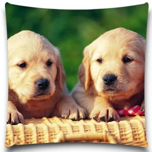 Two dog Climb in the bamboo baskets Pillows Case Cotton Polyester for Sofa Car Cotton Cushion Cover Creative Decoration 5 size