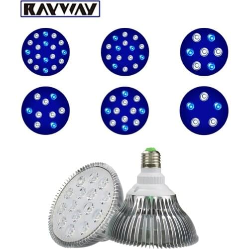 RAYWAY Equipment For Aquariums
