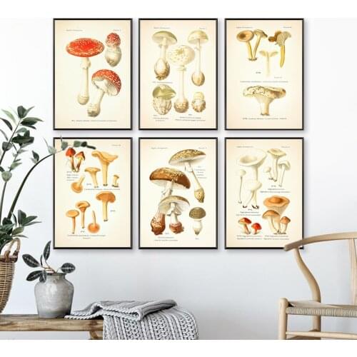 Vintage Mushroom Botanical Posters and Prints Atlas of Edible and Poisonous Mushrooms Plants Canvas Painting Wall Art Home Decor