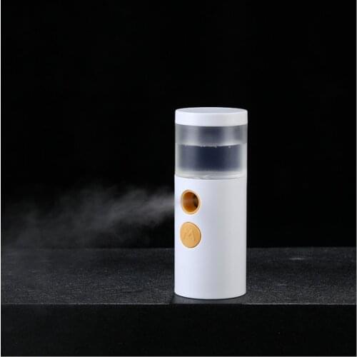 USB Mini Nano Facial Sprayer Nebulizer Face Steamer Air Humidifier Portable Hydrating vaporizador Spa Women Beauty Skin Care