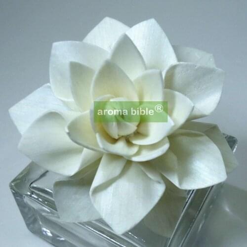 1000 pcs /lot Sola Flowers Natural White Fragrance Flower Diffusers With Rope For Fragrance Diffuser Wholesale Price