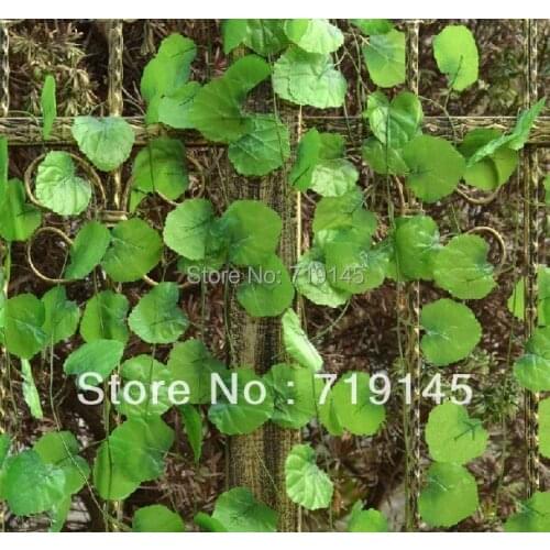 60pcs 2.4M artificial scindapsus aureus leaves vine Malus spectabilis vine grape vine plants home garden decoration