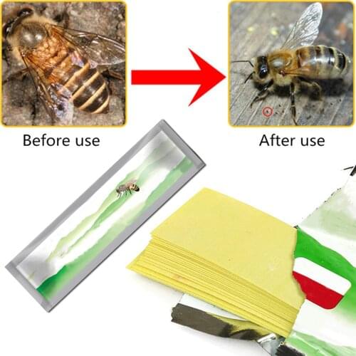 20pcs/Bag Varroa Strips Fluvalinate Bee Mite Killer Treatment Tool Beekeeping Pest Control Gardening Tool
