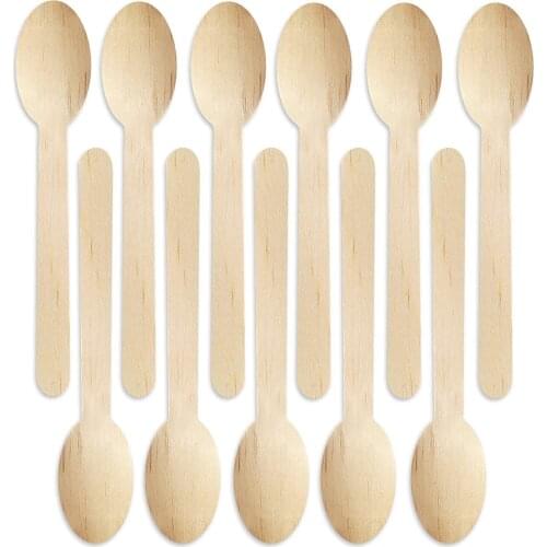 MAIGEENIFA Disposable Spoons