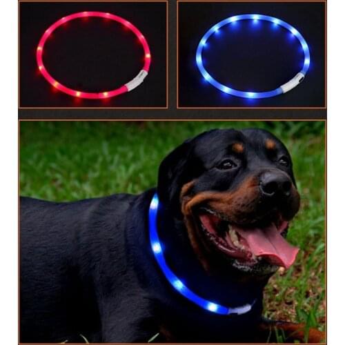 Pet Dogs Cats USB Rechargeable Flashing Night Collars Luminous Collar LED Light USB Dog Collar Glowing Teddy Flash Collar Pet #5