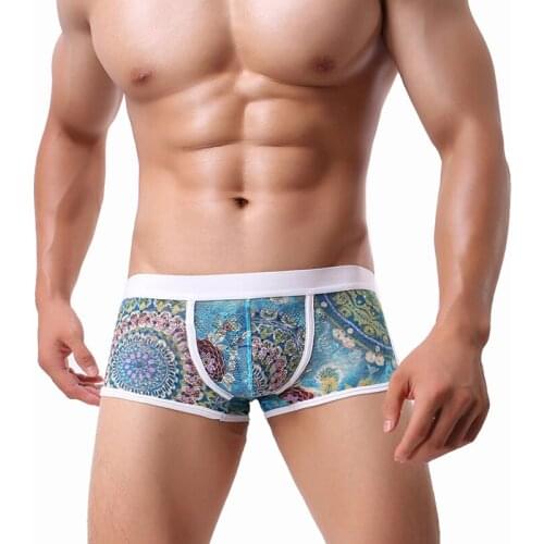 Mens Boxer Colorful Printed Men Sexy Boxer Shorts Underwear Lace Mesh Low Rise Gay Man Underpant Penis Pouch Cueca Boxer